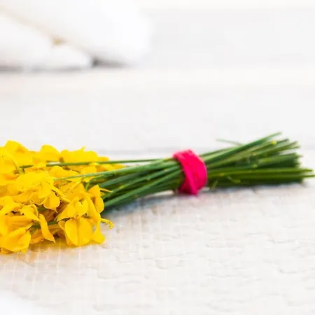 Petala House * Cherronisos (Sifnos)