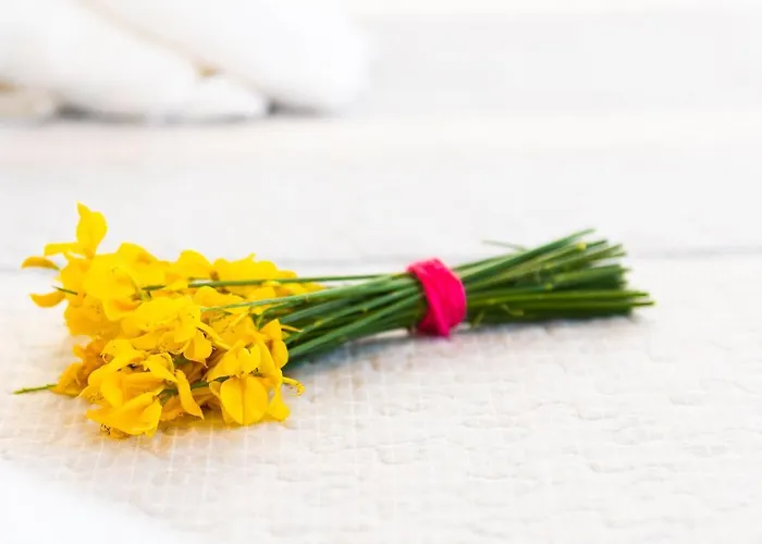 Petala House * Cherronisos (Sifnos)